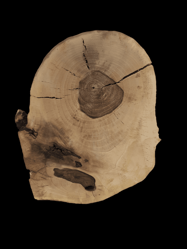 Holzplatte aus Walnuss | 49x35x5,5cm