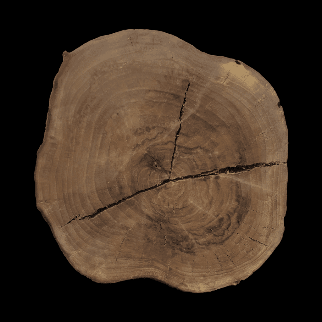 Walnussbaum Holz Für Modellbau Zehn (10) Dünner Ofen Getrocknet Geschliffen Schwarz Walnuss 18 Walnussbaum Holzplatten