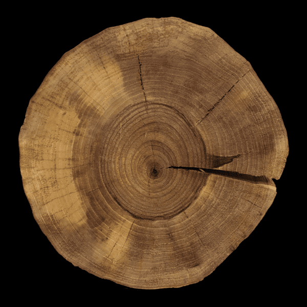 Runde Holzplatte aus Walnuss | 31Dx6cm