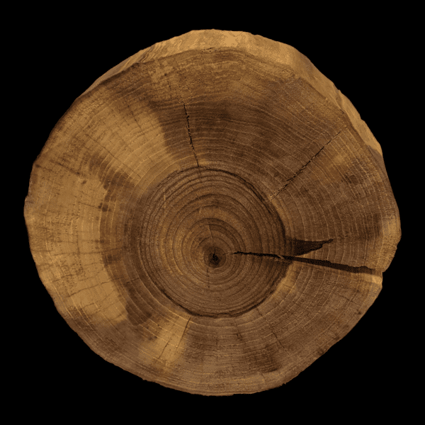 Runde Holzplatte aus Walnuss | 31Dx6cm – Bild 2