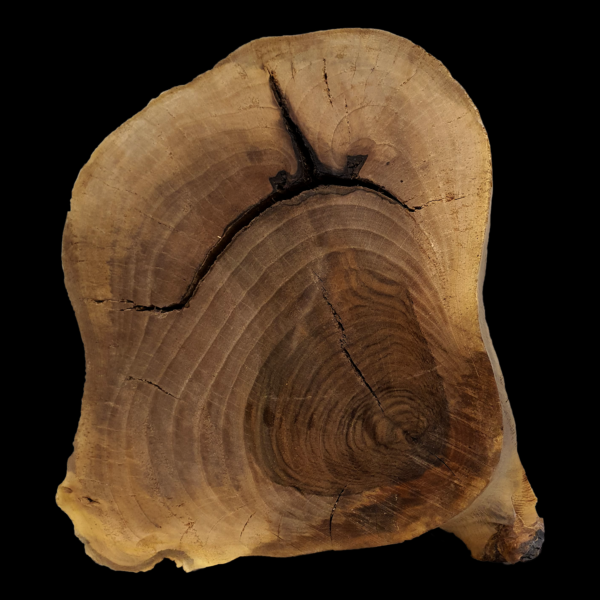 Holzplatte aus Walnuss | 35x26x5cm